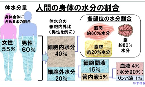 白簕的用量-白蔹中药用量30克可以吗-白痱中药的作用,中国白蔹中药用量网站